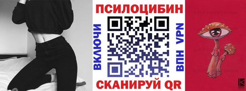 где продают   Корсаков  Галлюциногенные грибы мицелий 