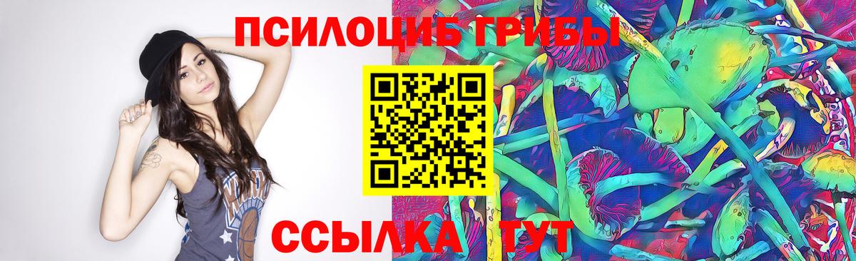 Корсаков  Псилоцибиновые грибы мухоморы  Вход с VPN  Галлюциногенные грибы GOLDEN TEACHER 